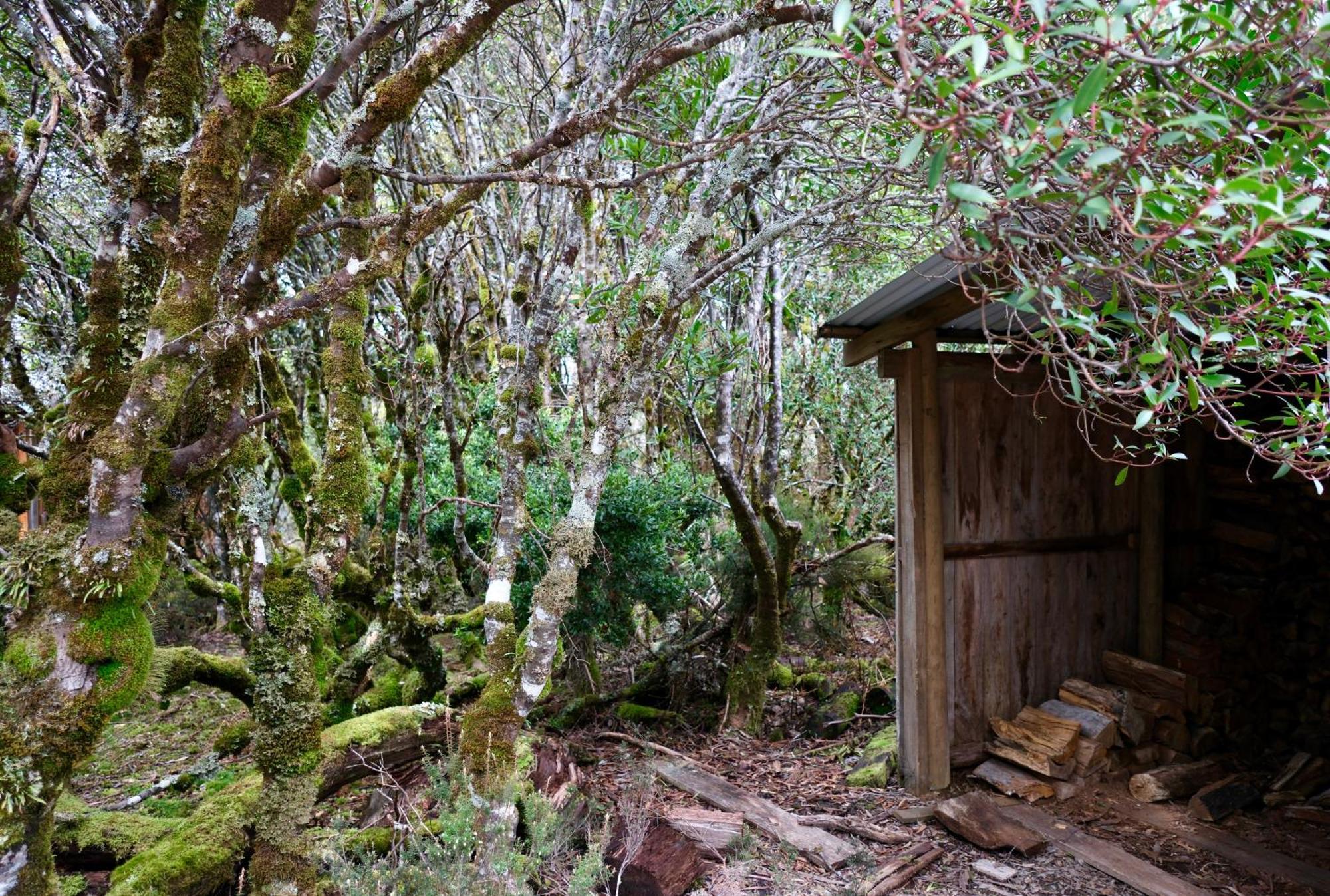 摇篮山高地酒店 外观 照片